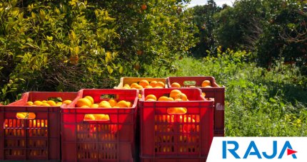 CAIXAS DE PLÁSTICO EMPILHÁVEIS PARA O ARMAZENAMENTO